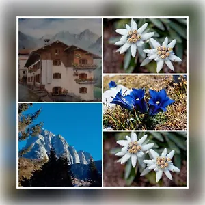 https://dolomiti-ferienwohnung-appartamento-vacanze.hotelinveneto.com